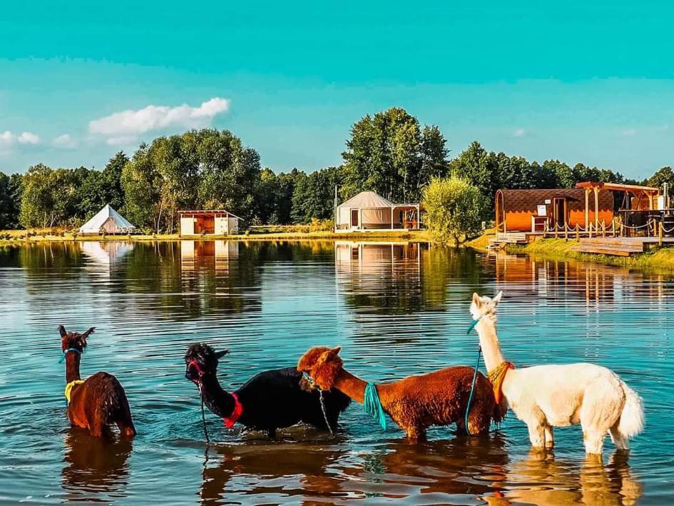 Hotel Jurty Glamping Gostynin Exteriér fotografie